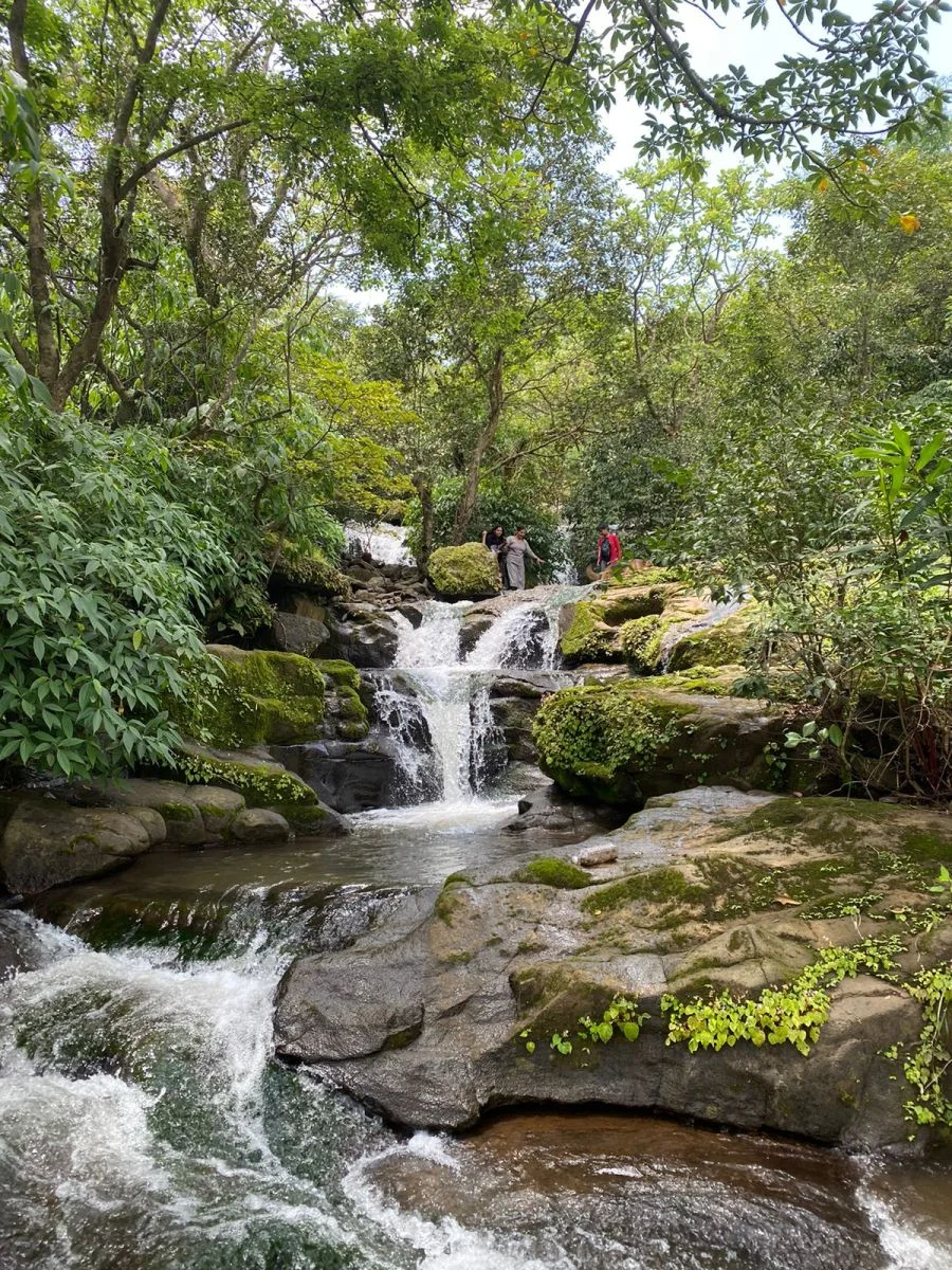 Lotus Resort Gallery